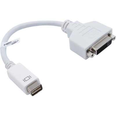 강원전자 넷메이트 DC-D1 (White) Mini DVI to DVI 젠더