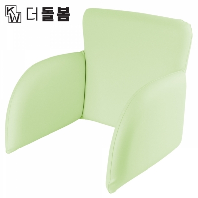 강원전자 더돌봄 피타트 체어용 등받이 쿠션 (그린) DB-CSGR