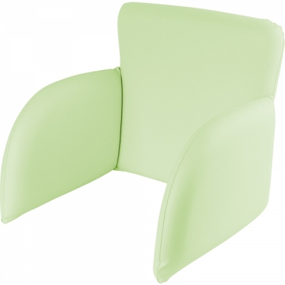 강원전자 더돌봄 피타트 체어용 등받이 쿠션 (그린) DB-CSGR