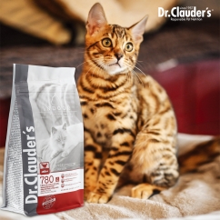 닥터클라우더 하이 프리미엄 캣 인도어 400g