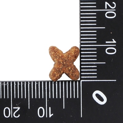 닥터클라우더 하이 프리미엄 캣 시니어 라이트 10kg