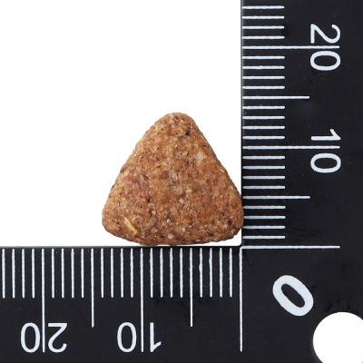 닥터클라우더 베스트 초이스 어덜트 연어&쌀 8kg