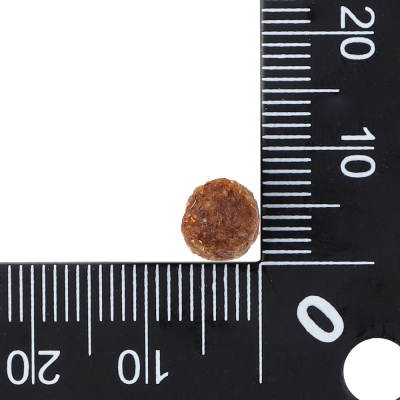 닥터클라우더 베스트 초이스 하이포센시티브 오리&감자 미니 2kg