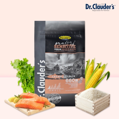 닥터클라우더 베스트 초이스 주니어 연어&쌀 미니 2kg