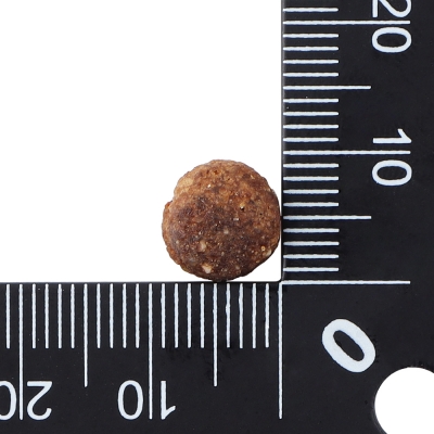 닥터클라우더 베스트 초이스 주니어 미디엄 4kg