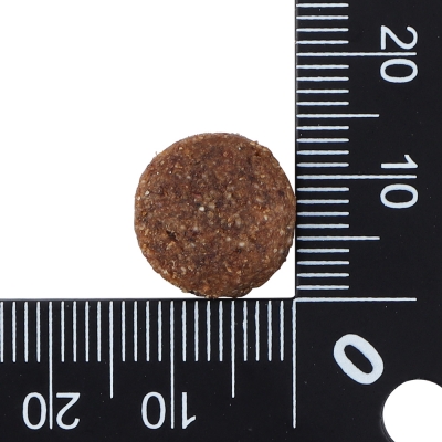 닥터클라우더 베스트 초이스 어덜트 미디엄 8kg