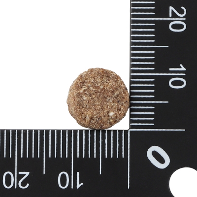 닥터클라우더 베스트 초이스 시니어 라이트 4kg